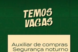 Auxiliar de Compras, Segurança Noturno e Garçom