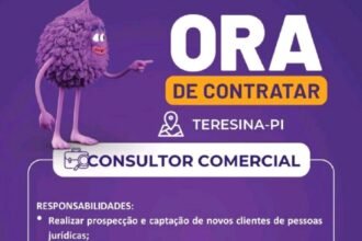 Consultor Comercial