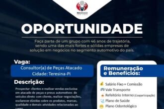 Vaga para Consultor(a) de Peças Atacado