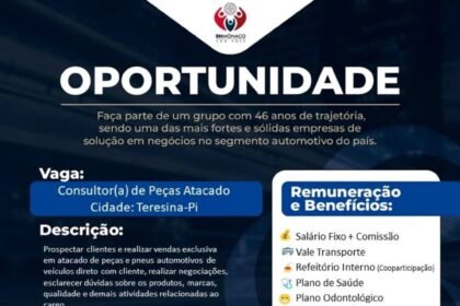 Vaga para Consultor(a) de Peças Atacado