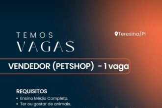 Vaga para Vendedor