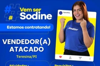 Vaga para Vendedor(a) Atacado