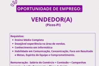 Vaga para Vendedor(a) em Picos