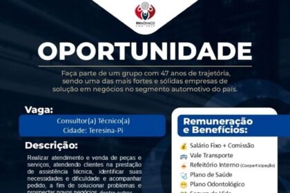 Vaga para Consultor(a) Técnico(a)