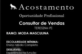 Vaga para Consultor de Vendas