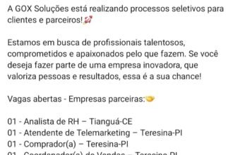 Diversas vagas na Gox Soluções
