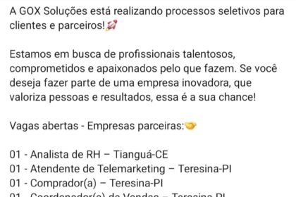 Diversas vagas na Gox Soluções
