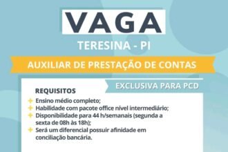 Vaga para Auxiliar de Prestação de Contas (PCD)