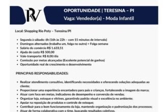 Vaga de emprego para Vendedor(a) em Teresina